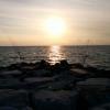 Canna per iniziare surf casting - last post by Frog